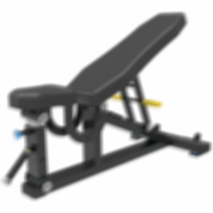Скамья силовая UNIX FIT PRO регулируемая (UC-1612D)